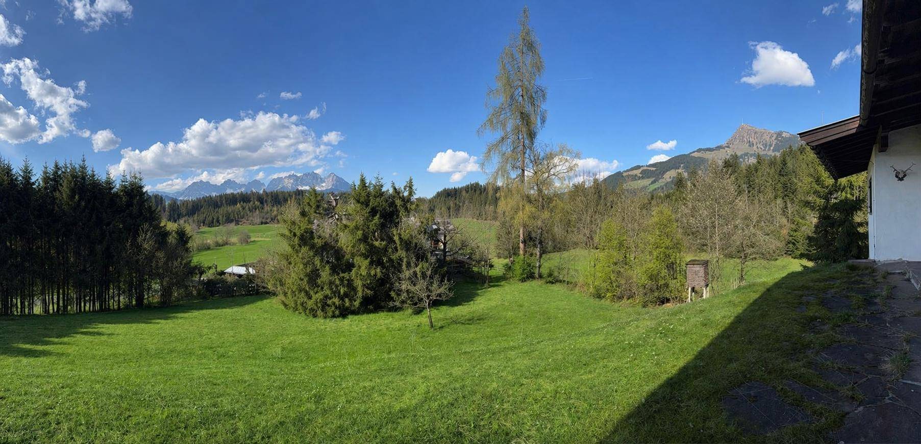 Weitläufiger Garten mit grüner Wiese, umgeben von Bäumen und mit Bergblick.