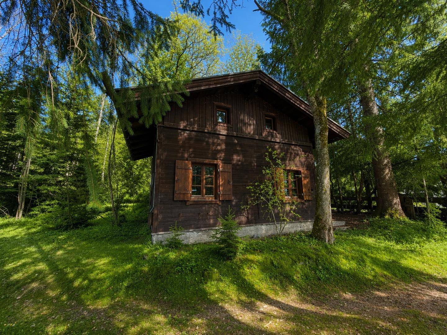 Rustikales Holzhaus im Wald, umgeben von hohen Bäumen und grüner Natur.