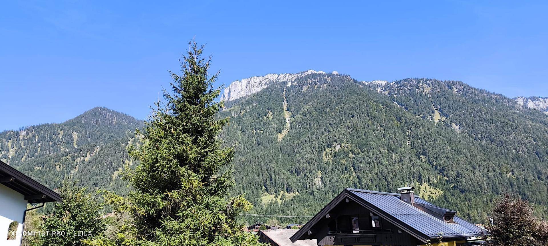 Majestätische Berglandschaft mit dicht bewaldeten Hängen unter einem klaren blauen Himmel.