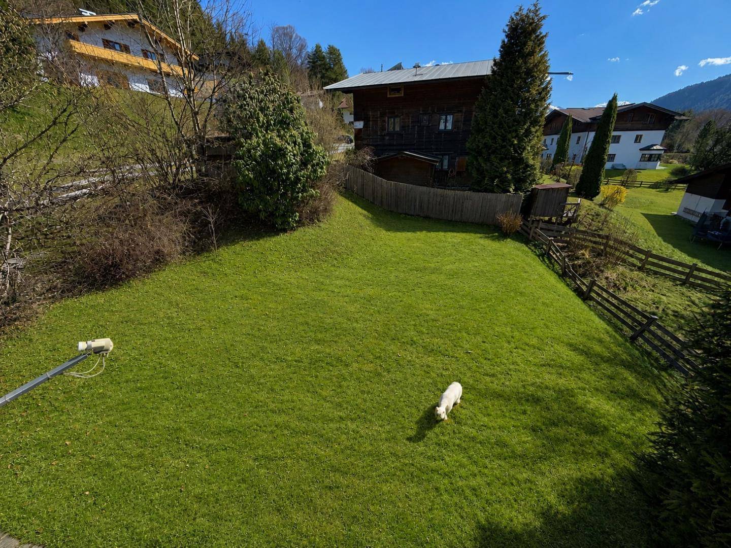 Weitläufiger grüner Rasen mit einem kleinen Hund und Häusern in der hügeligen Landschaft.