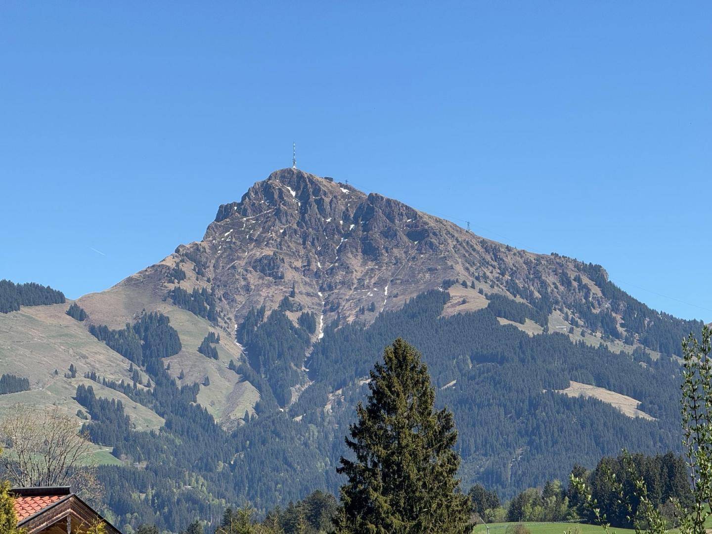 Nahaufnahme eines markanten Berggipfels mit bewaldeten Hängen unter strahlend blauem Himmel.