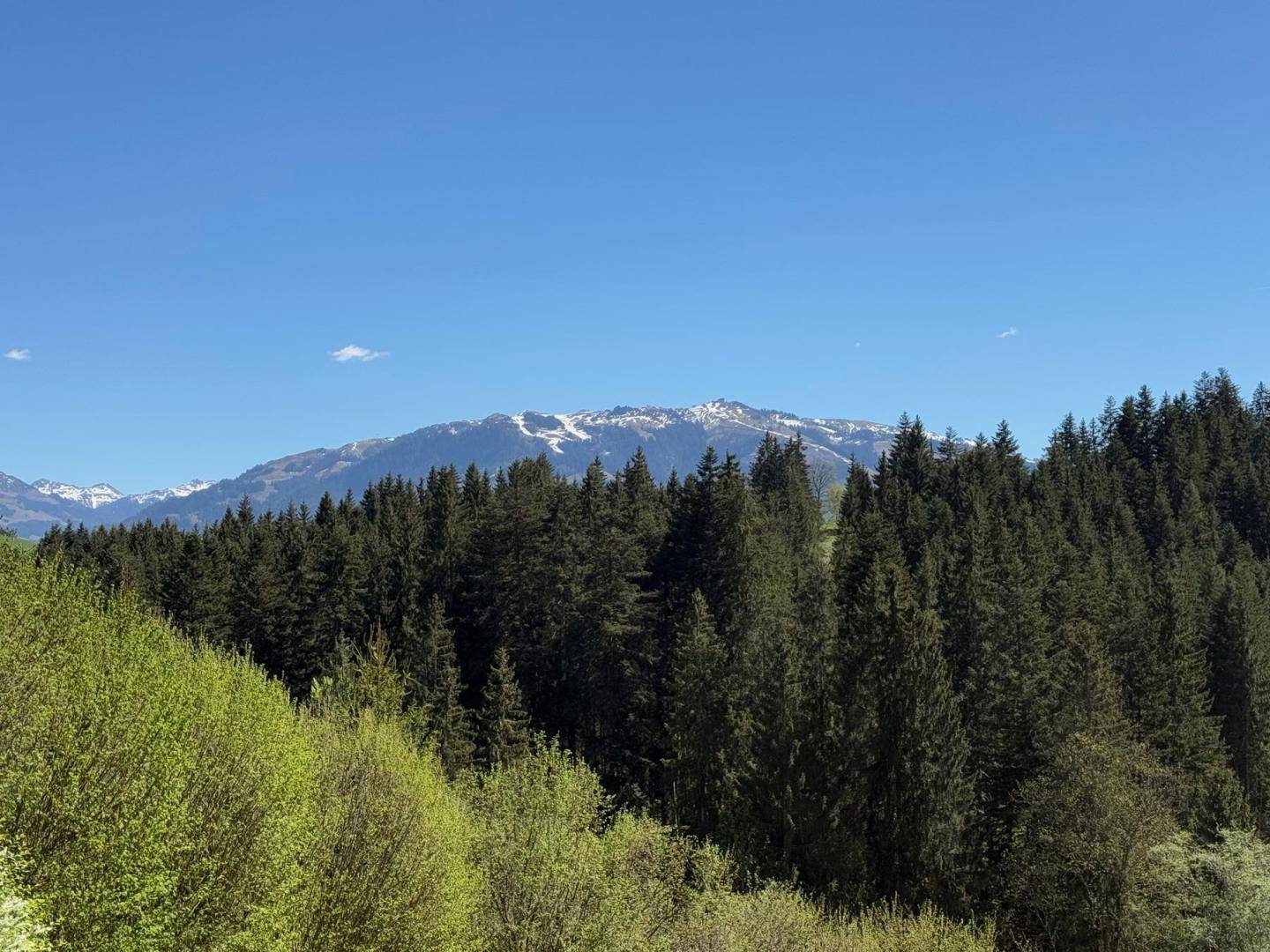 Weitläufiger Blick auf bewaldete Berge mit schneebedeckten Gipfeln unter klarem Himmel.