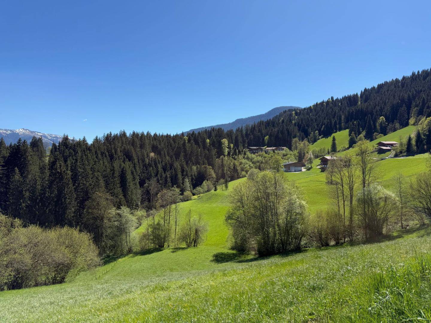 Sanfte grüne Hügel und dichte Wälder prägen die idyllische Berglandschaft unter blauem Himmel.