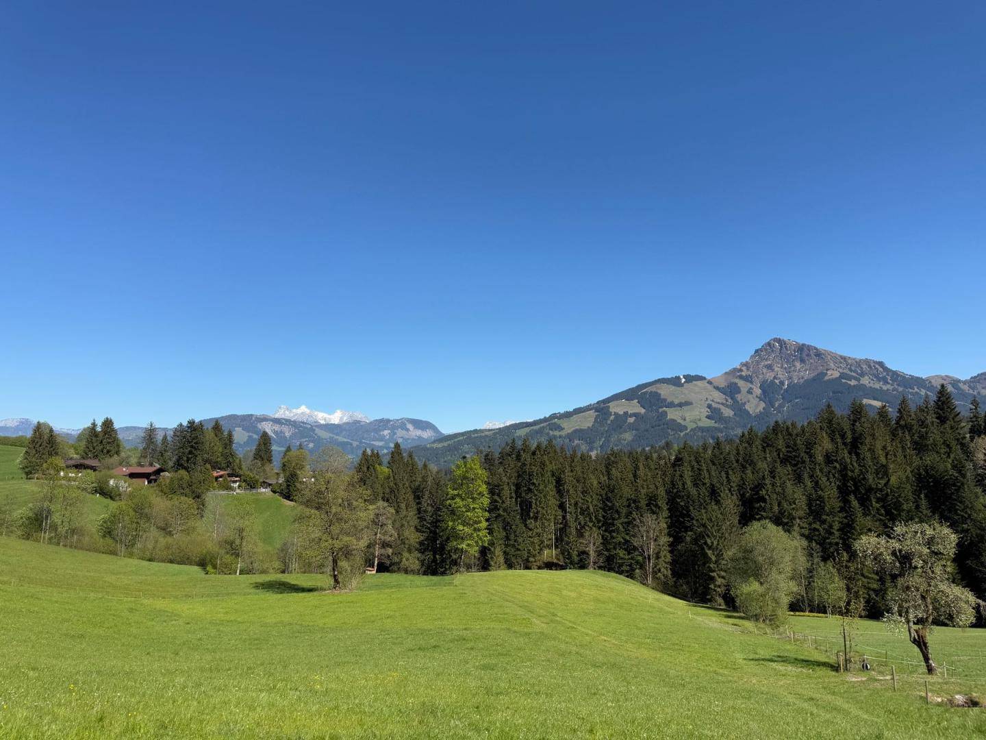 Weitläufige grüne Landschaft mit bewaldeten Hügeln und einer beeindruckenden Bergkulisse.