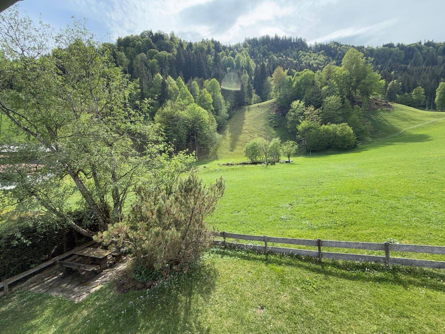 Weitläufige grüne Wiesen und bewaldete Hügel unter blauem Himmel.