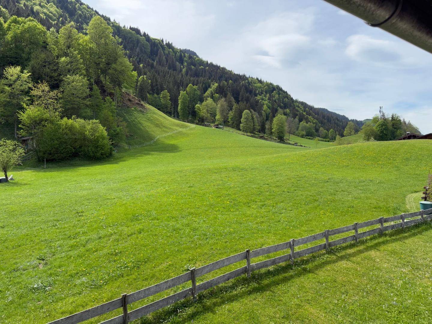 Malerische Landschaft mit grünen Wiesen und bewaldeten Bergen.