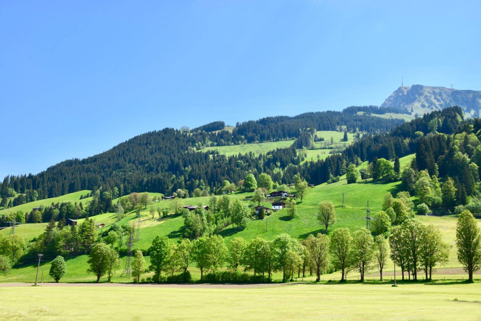 Weite grüne Felder und bewaldete Hügel unter einem strahlend blauen Himmel.