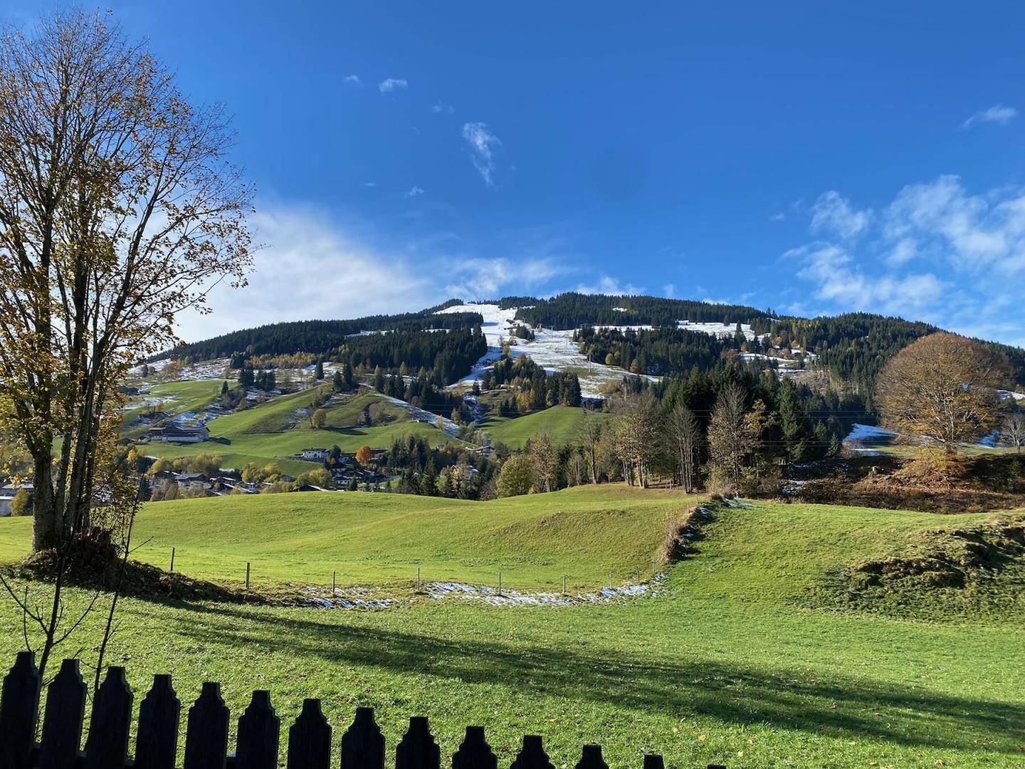 Malerische Berglandschaft mit grünen Wiesen, bewaldeten Hängen und schneebedeckten Gipfeln.