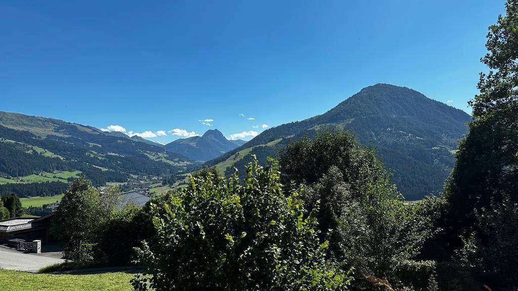 Atemberaubender Panoramablick auf die majestätische Bergwelt und weite grüne Täler.