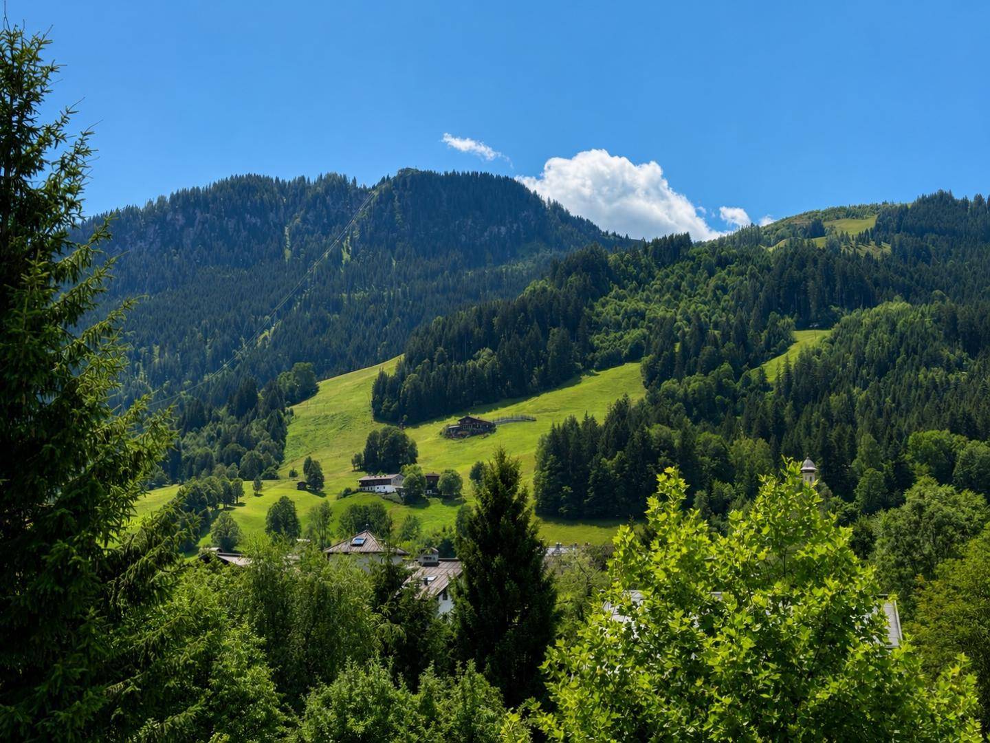 Weitläufige grüne Berglandschaft mit dichten Wäldern und vereinzelten Häusern.