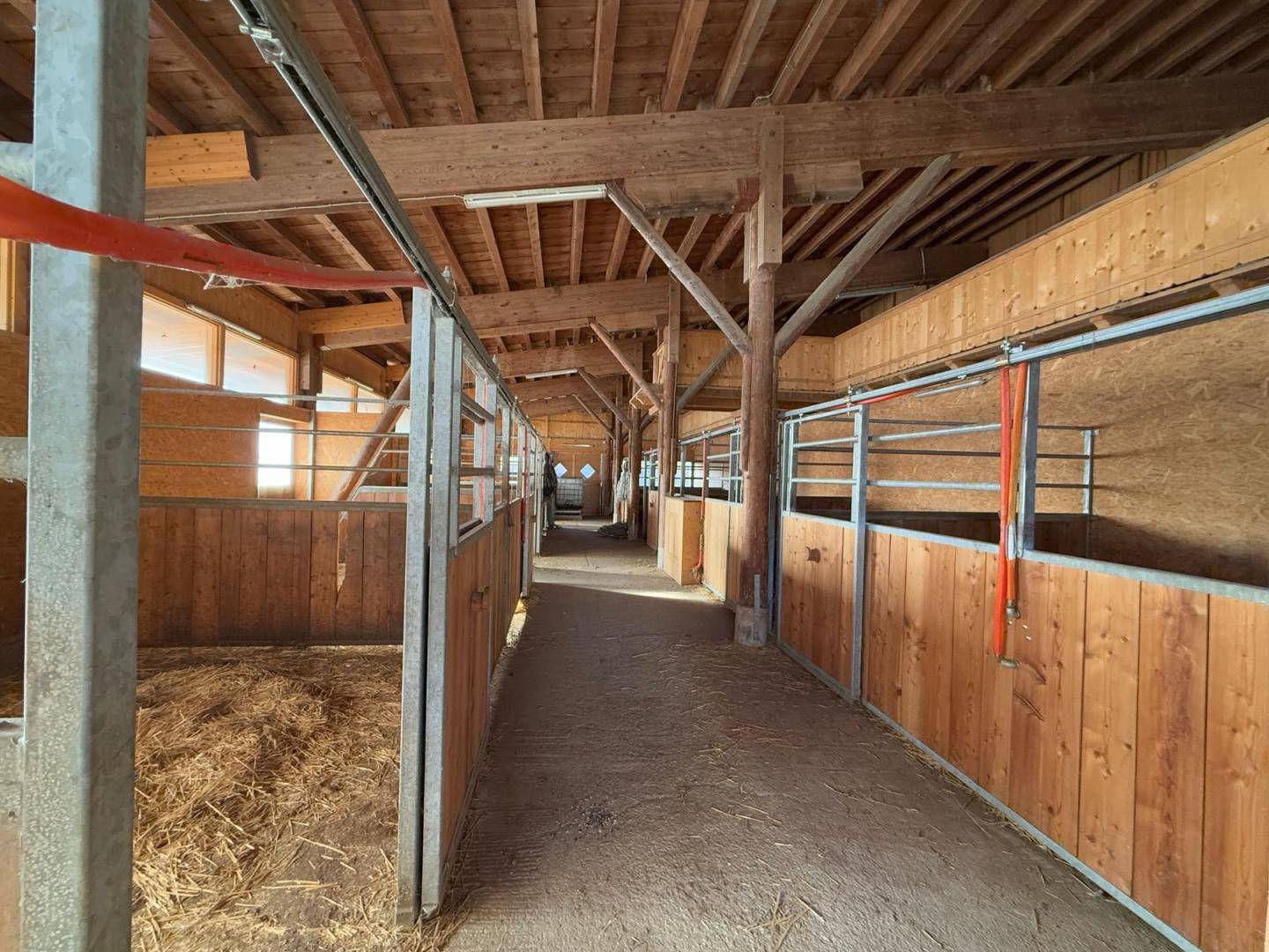 Innenansicht eines Stalls mit mehreren Boxen, Holzwänden und Stroh auf dem Boden.