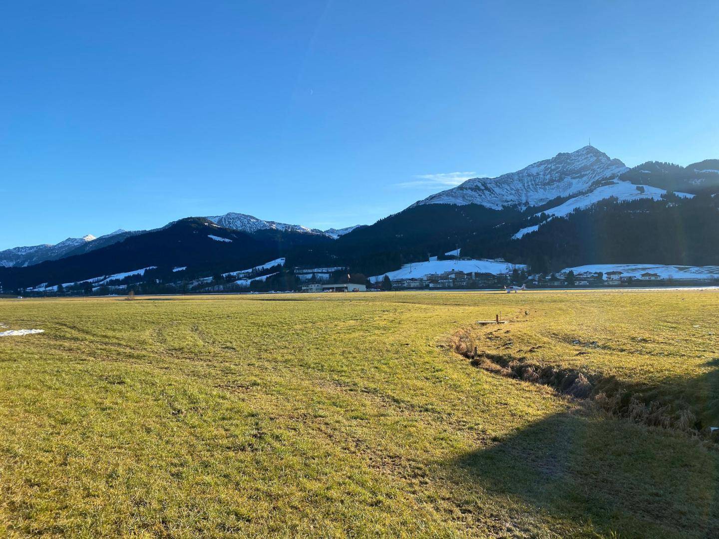 Sonniges grünes Feld mit schneebedeckten Bergen im Hintergrund unter einem klaren blauen Himmel.