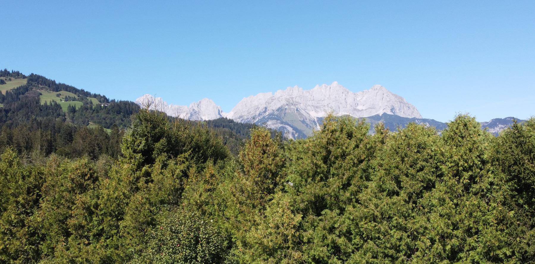 Majestätische Bergkette hinter dichten Wäldern unter einem klaren, blauen Himmel.