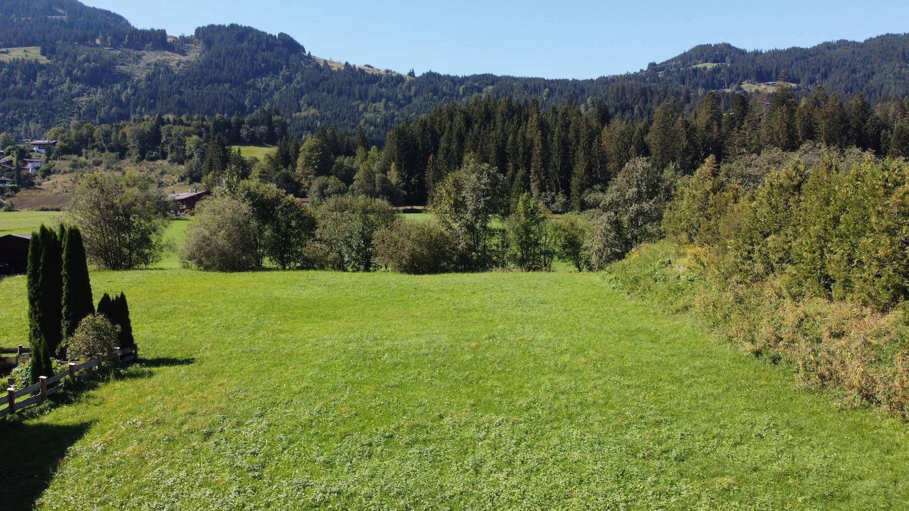 Weitläufige grüne Wiese mit Bäumen im Hintergrund, ideal für Natur und Erholung.