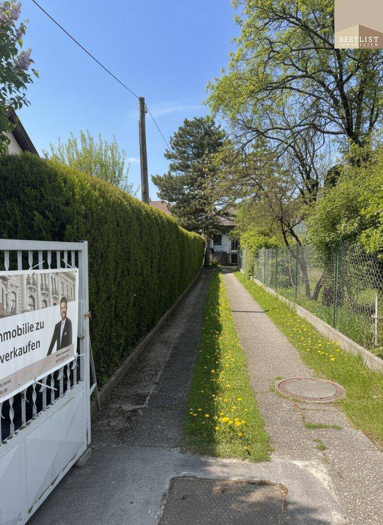 Lange Zufahrt zum Grundstück, gesäumt von einer hohen Hecke und einem weißen Metalltor.
