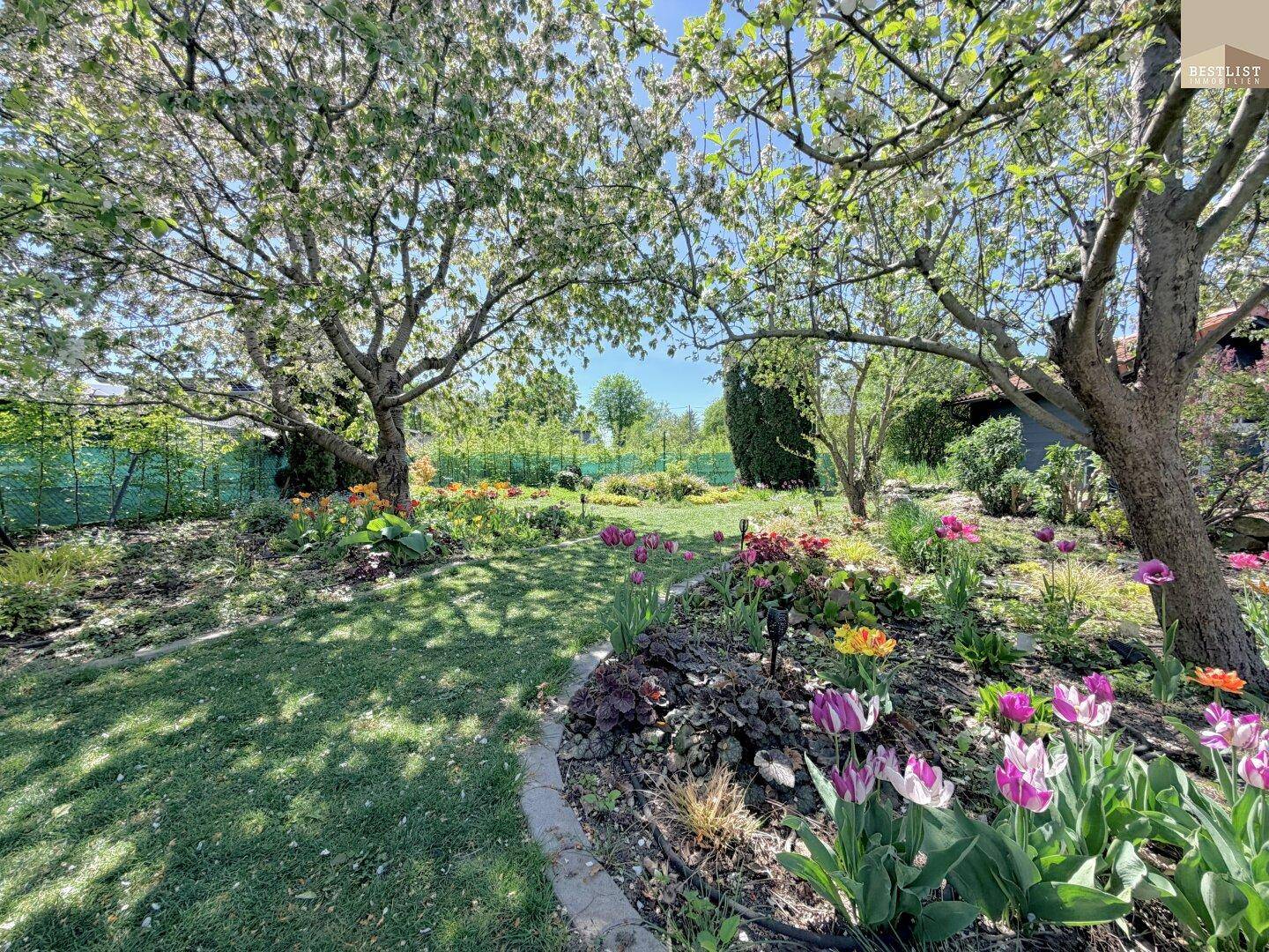 Idyllischer Gartenbereich mit vielfältiger Bepflanzung und sonnigen Rasenflächen.