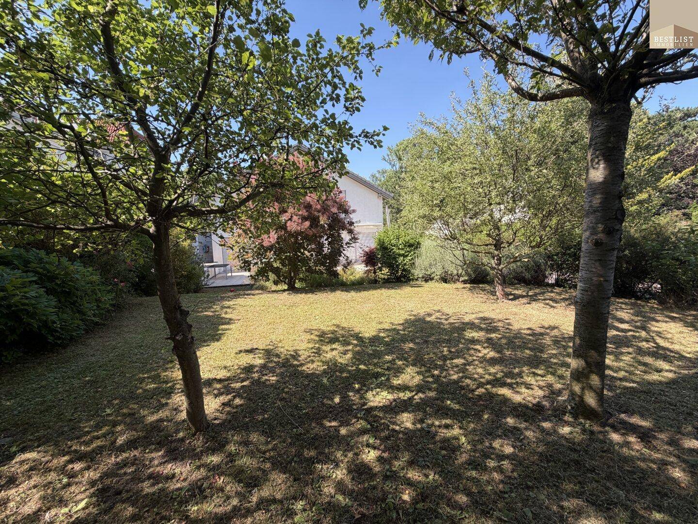 Weitläufiger Garten mit altem Baumbestand und sonniger Rasenfläche, ideal zum Entspannen.