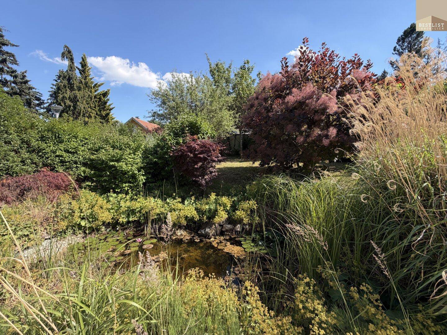 Idyllischer Gartenteich umgeben von üppiger Vegetation und hohen Gräsern unter blauem Himmel.