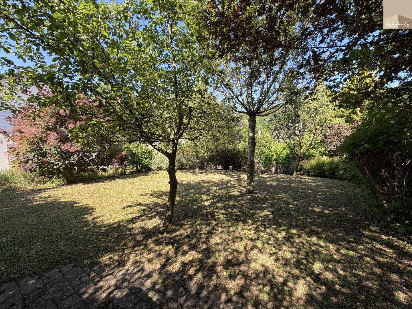 Sonniger Gartenbereich mit schattenspendenden Bäumen und einer gepflegten Rasenfläche.