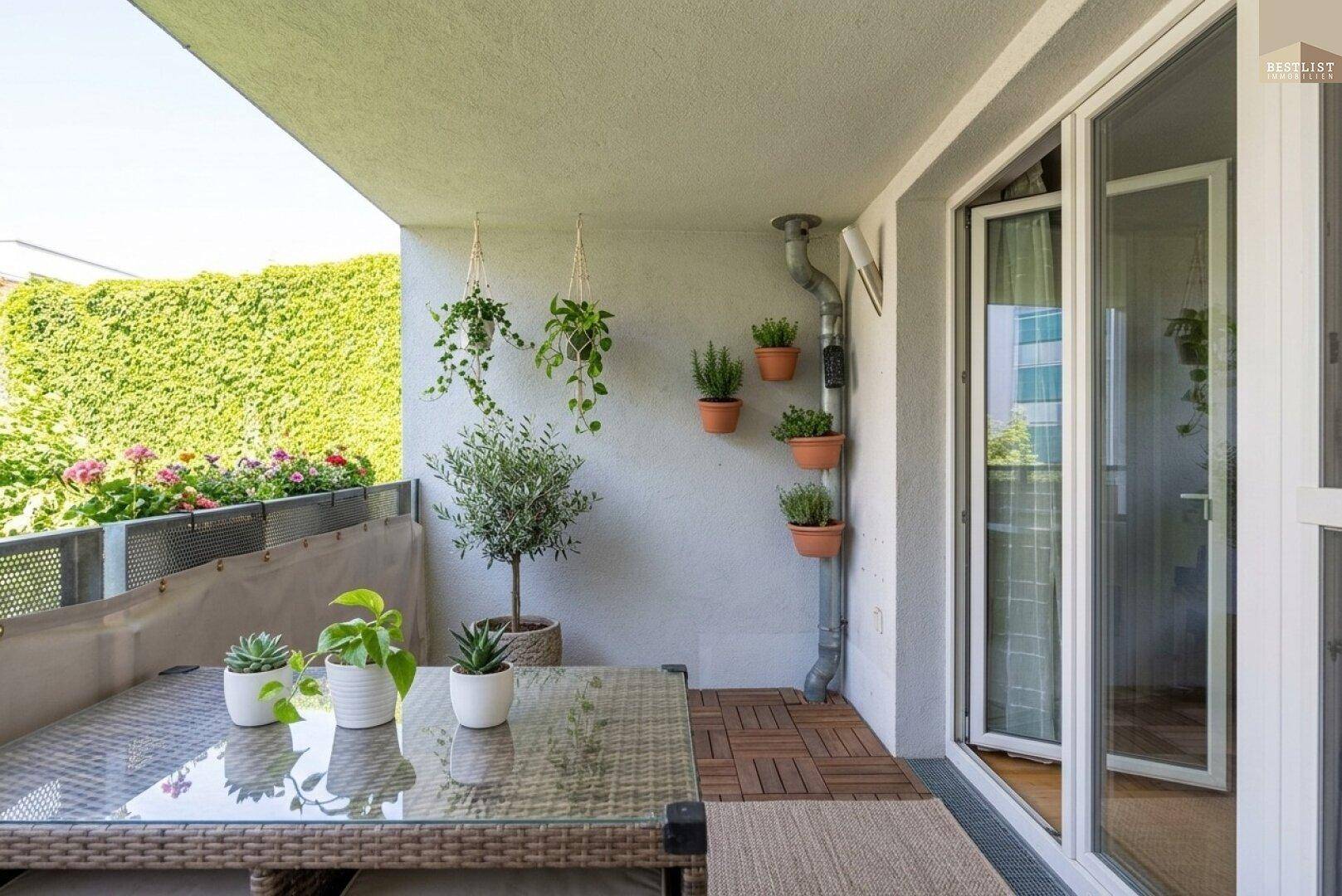 Möblierter Balkon mit Pflanzen, Holzboden und Blick auf eine begrünte Wand.