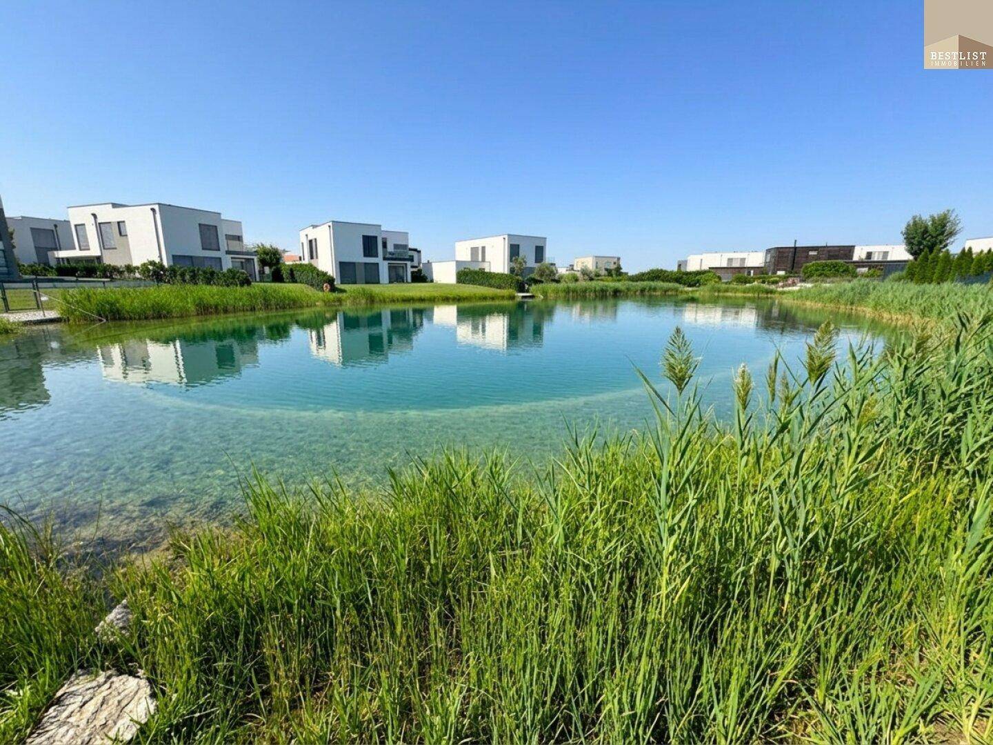 Idyllischer See mit Schilf und modernen Wohnhäusern im Hintergrund unter blauem Himmel.