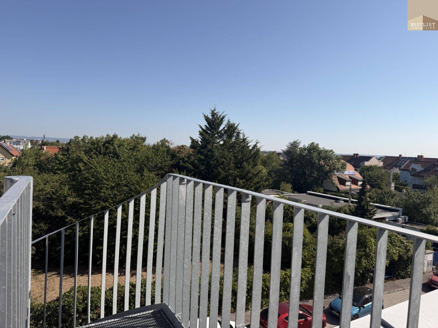 Weitläufiger Ausblick über die grüne Umgebung und die Dächer der umliegenden Häuser.