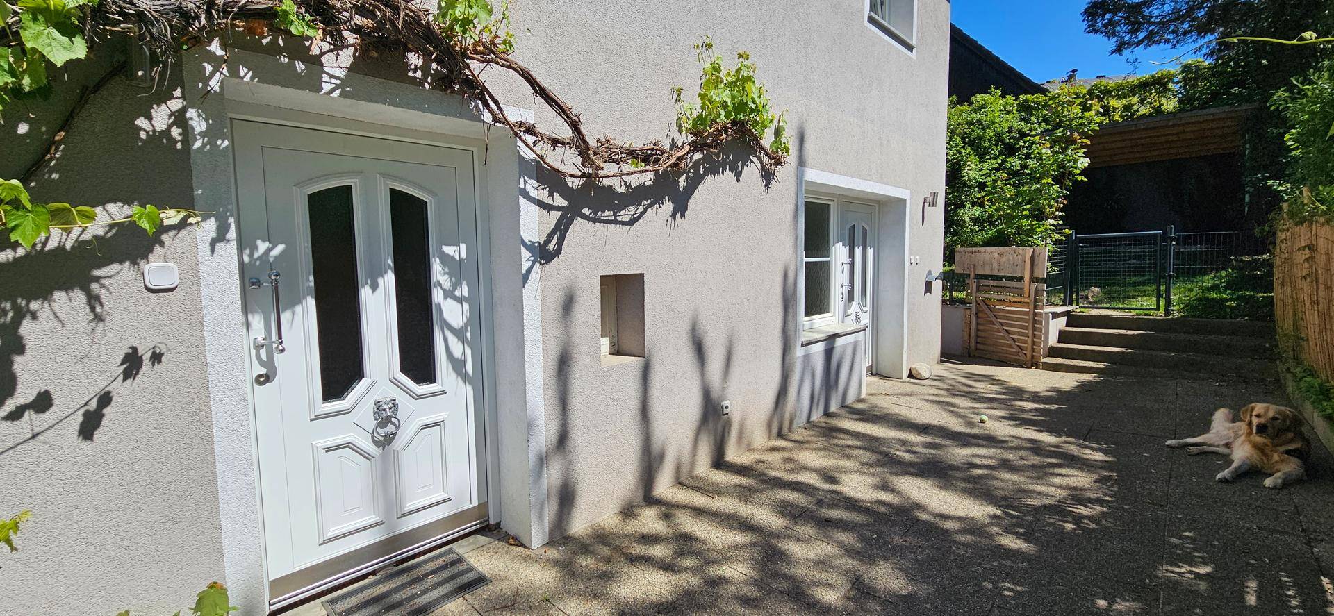 Eingangsbereich eines Hauses mit weißer Tür, umrankt von Pflanzen, und einem Hund auf dem Vorplatz.