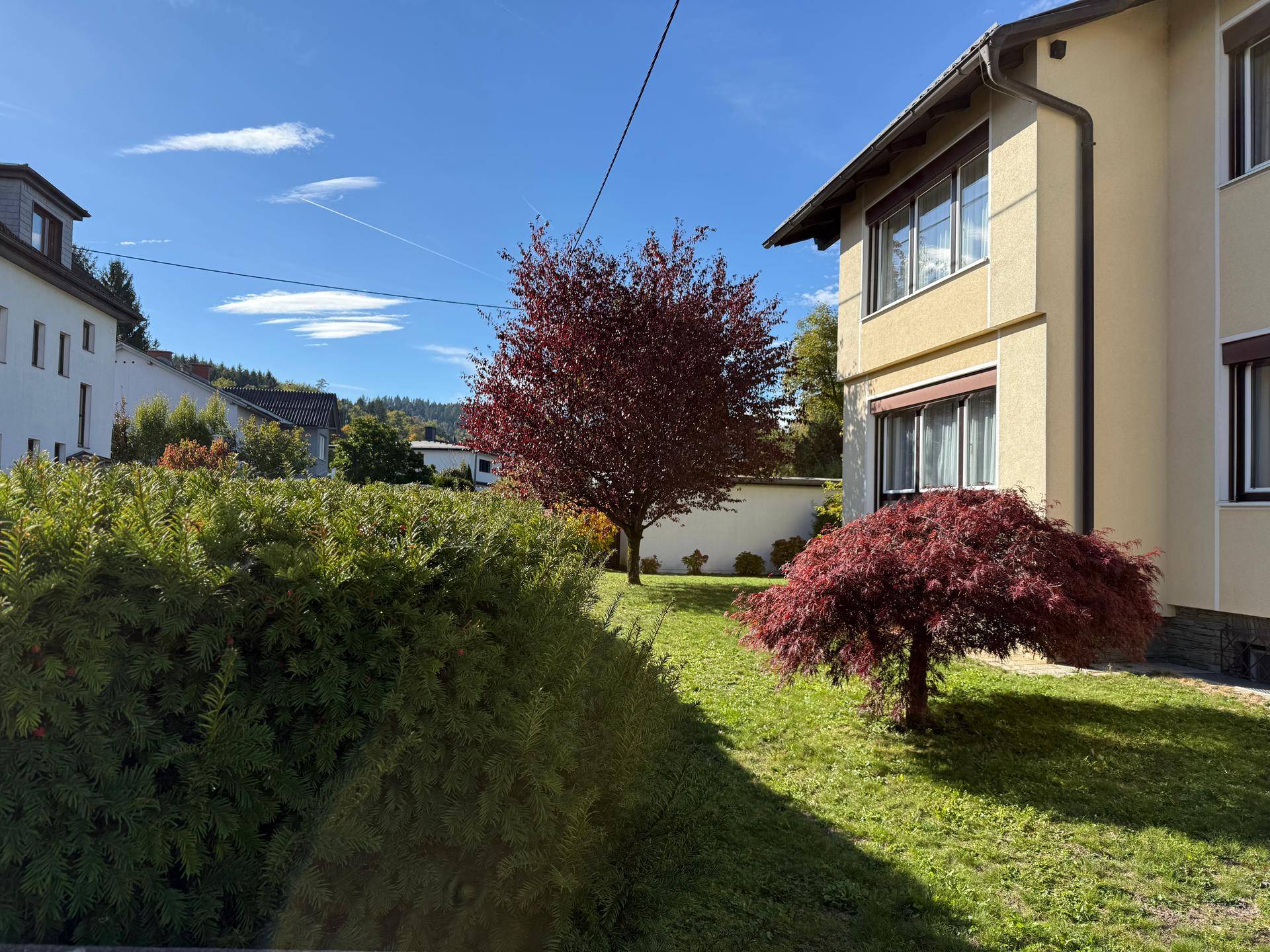 Gepflegter Gartenbereich mit Rasenfläche und Bäumen neben dem Haus unter blauem Himmel.