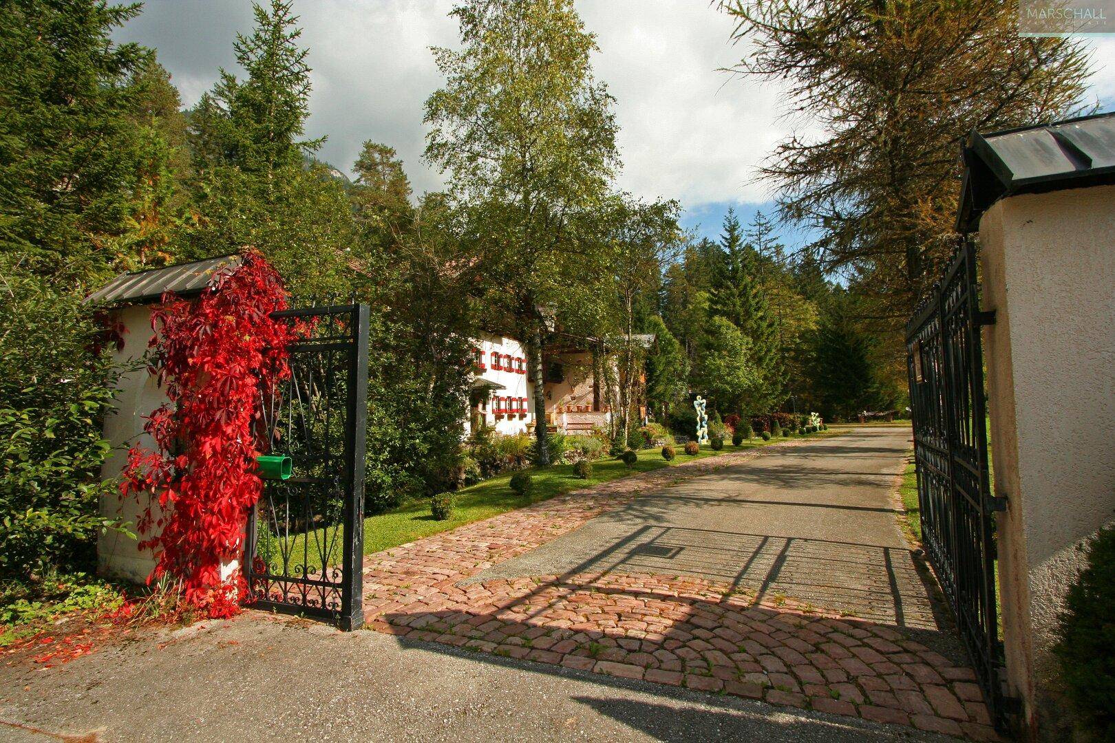 Geschmiedetes Eingangstor mit Ziegelpflasterung, umgeben von üppigem Grün und Bäumen.