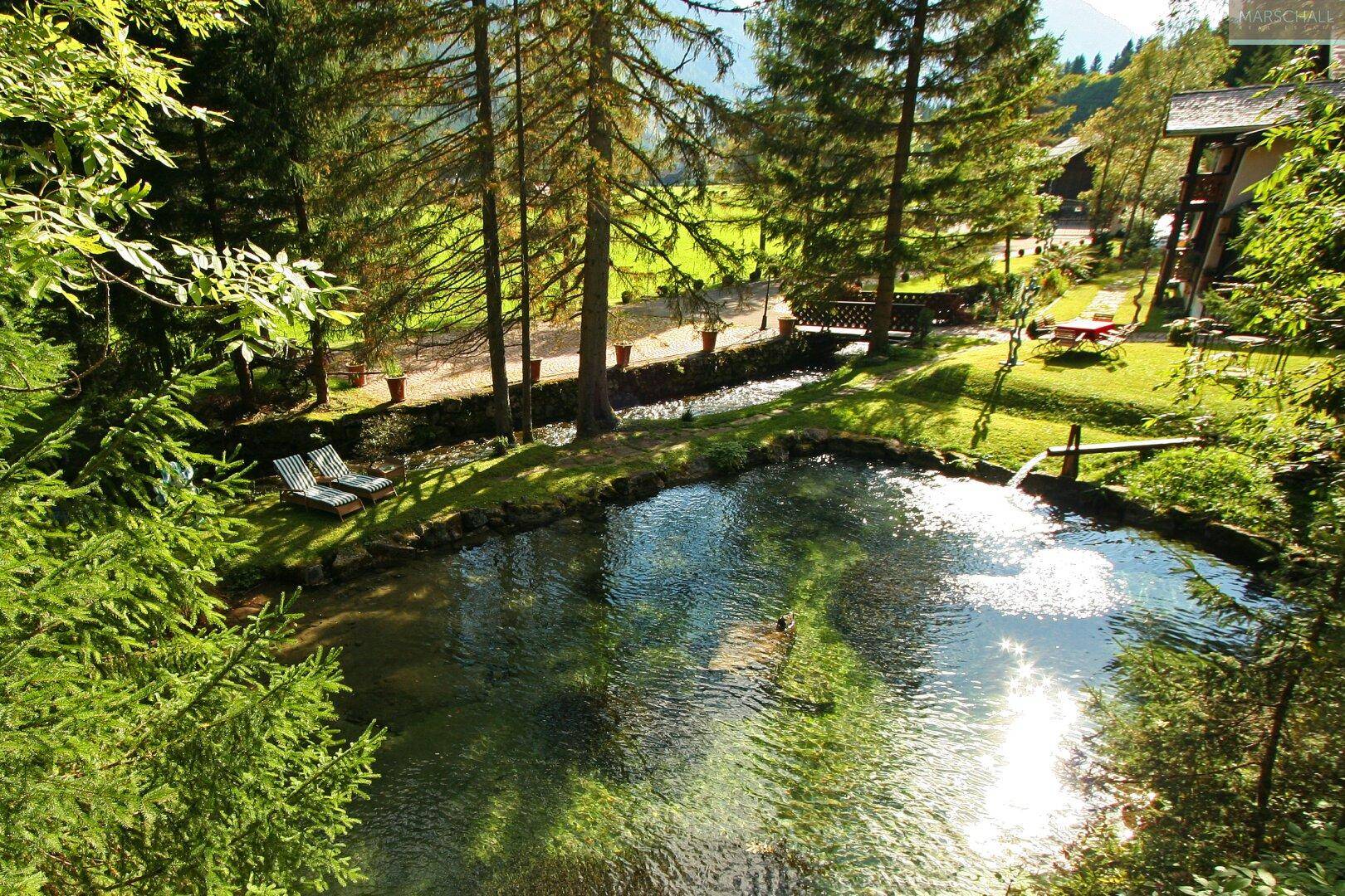 Natürlicher Teich im Garten, umgeben von Bäumen und Liegestühlen, bietet eine idyllische Bademöglichkeit.
