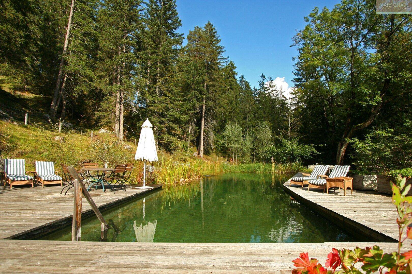Natürlicher Schwimmteich mit Holzdeck und Liegestühlen, umgeben von Wald und Pflanzen.