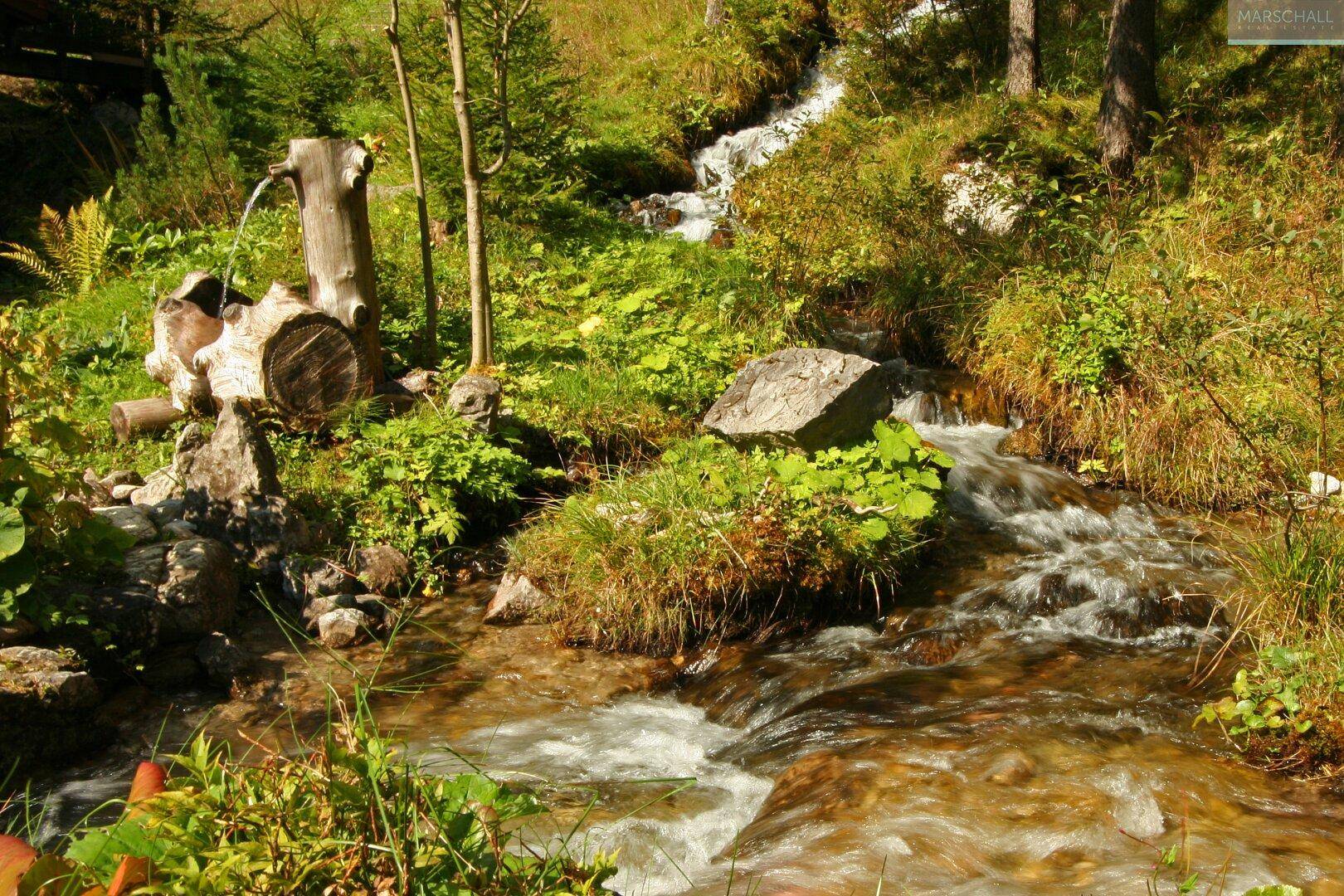 Malerischer Bachlauf mit Felsen und üppiger Vegetation, fließt durch die natürliche Landschaft.