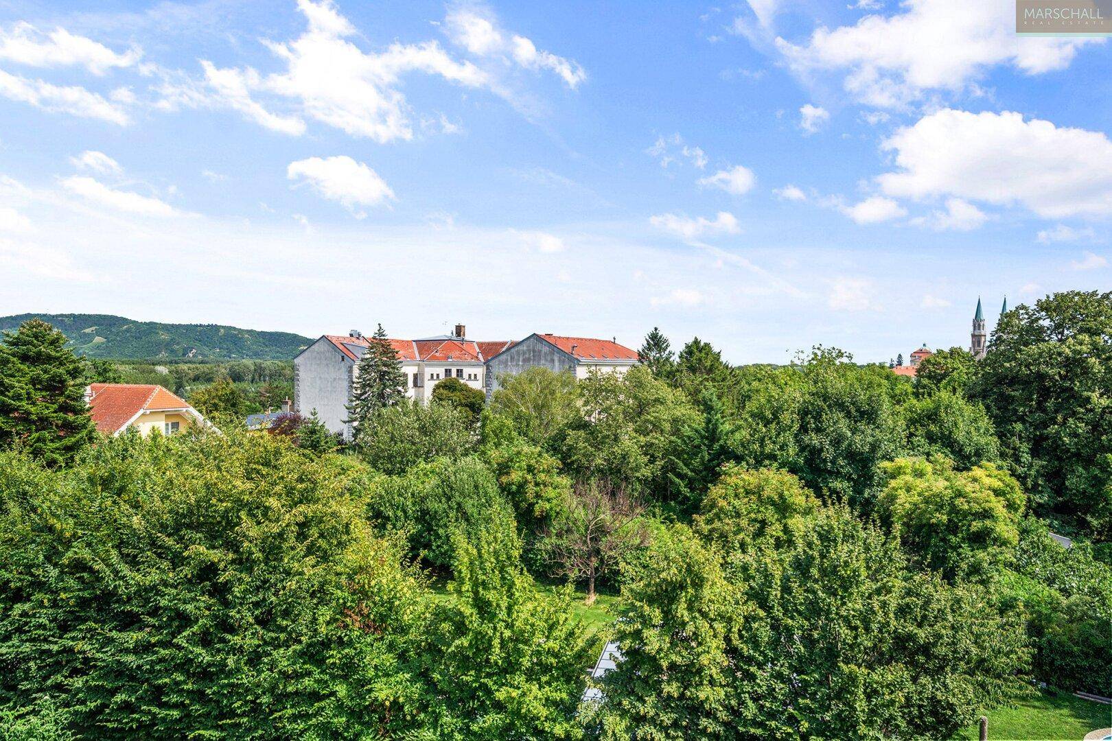 Weitläufiger Blick über grüne Baumwipfel und Dächer der umliegenden Häuser unter blauem Himmel.