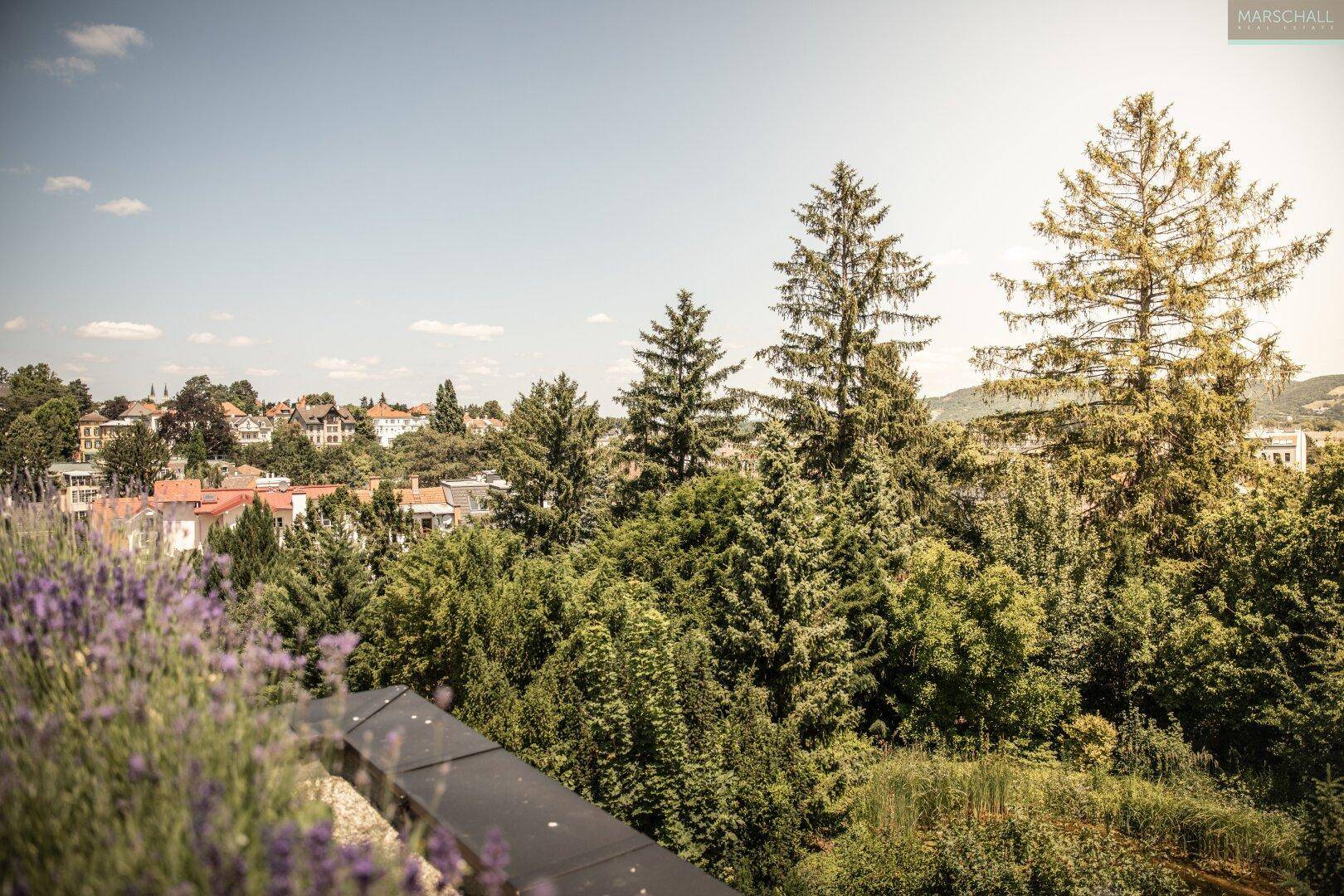 Ausblick