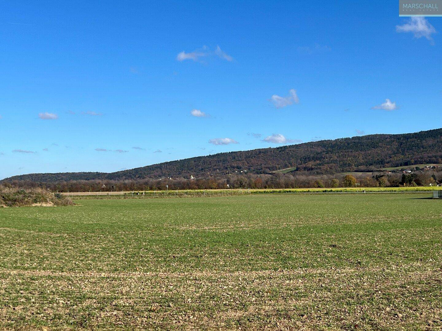 Weitläufiges grünes Feld mit sanften Hügeln im Hintergrund unter einem strahlend blauen Himmel.