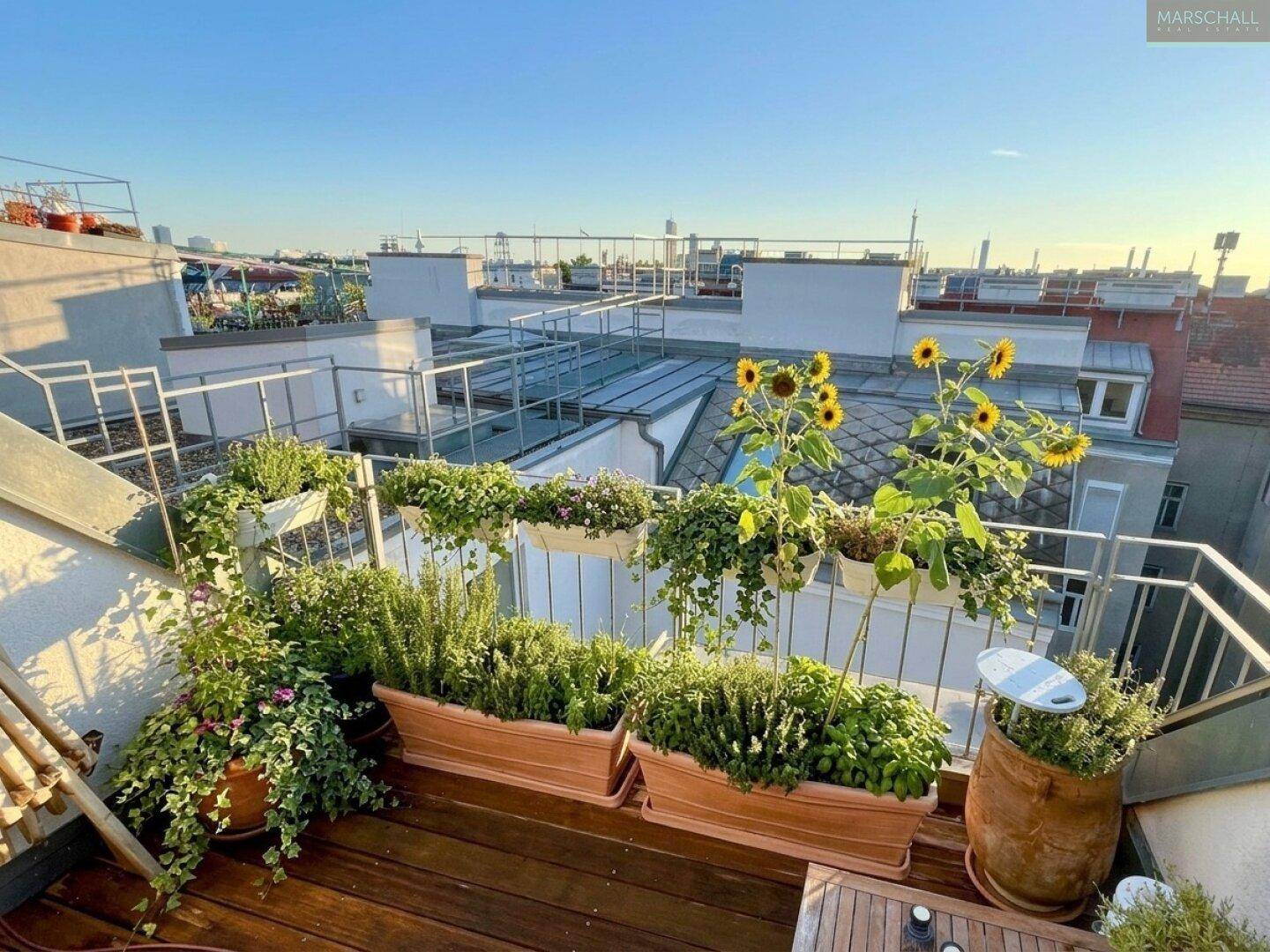 Sonniger Dachgarten mit vielfältigen Pflanzen, Sonnenblumen und weitem Blick über die umliegenden Dächer der Stadt.