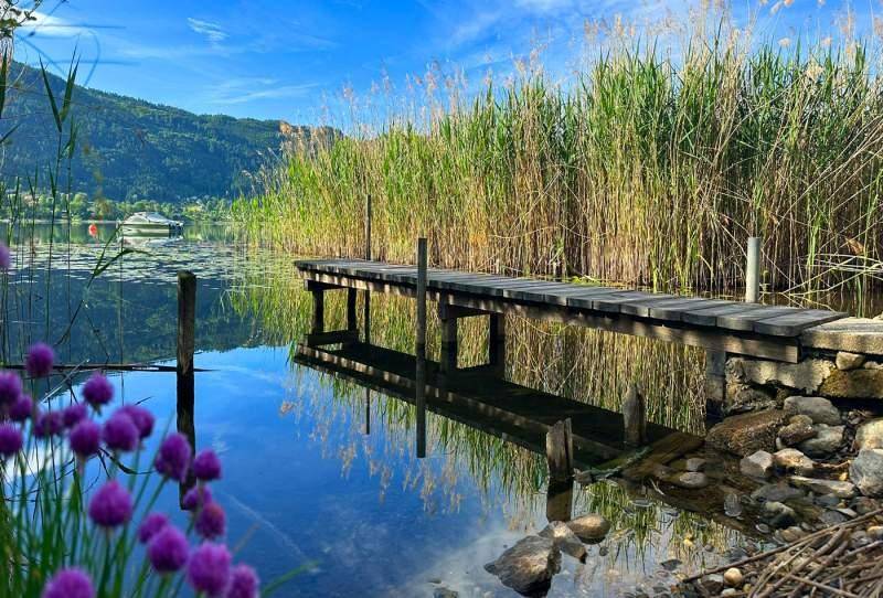 Ein langer Holzsteg führt durch das Schilf ins klare Seewasser, umgeben von natürlicher Vegetation.