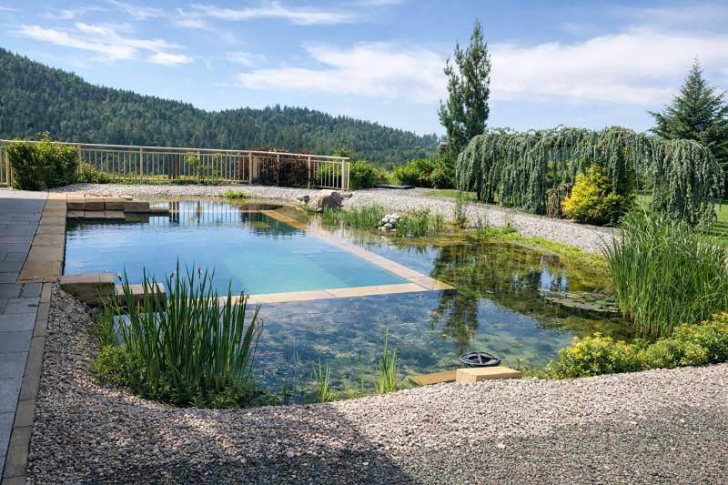 Detailansicht des naturnahen Schwimmteichs mit integriertem Poolbereich und üppiger Bepflanzung.