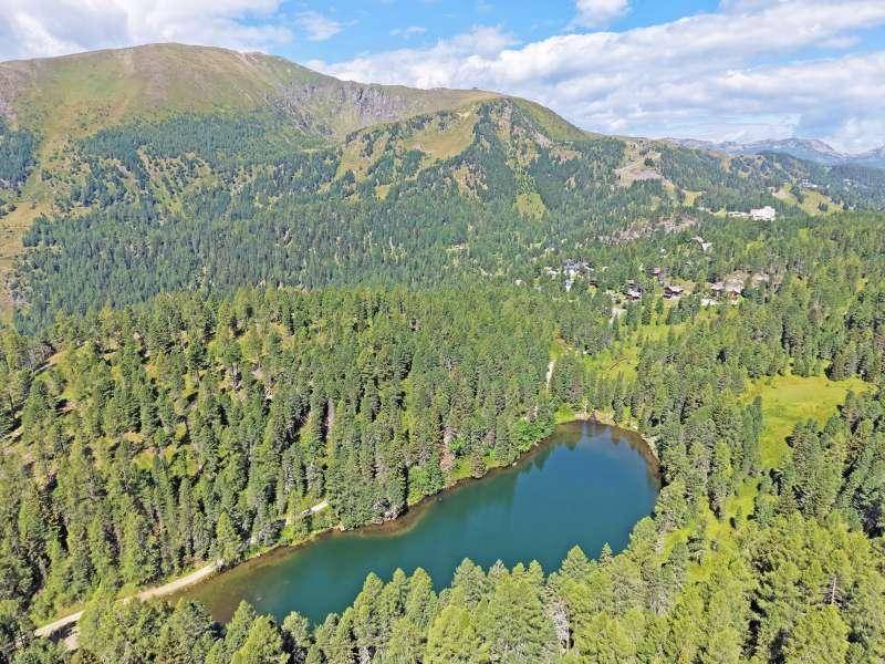 Luftaufnahme eines kleinen, herzförmigen Sees, umgeben von dichtem Nadelwald und Bergen.