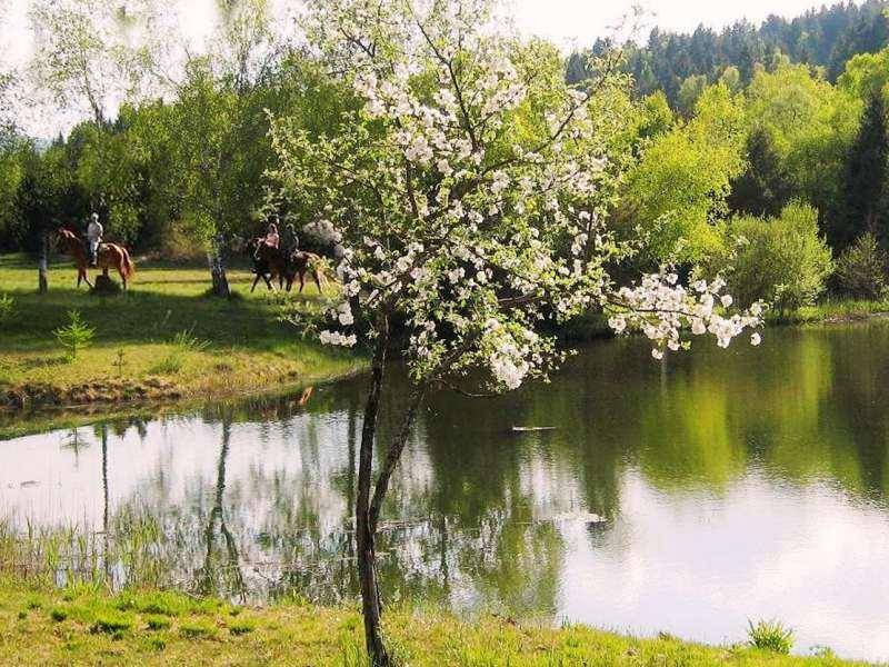 Reiten am See