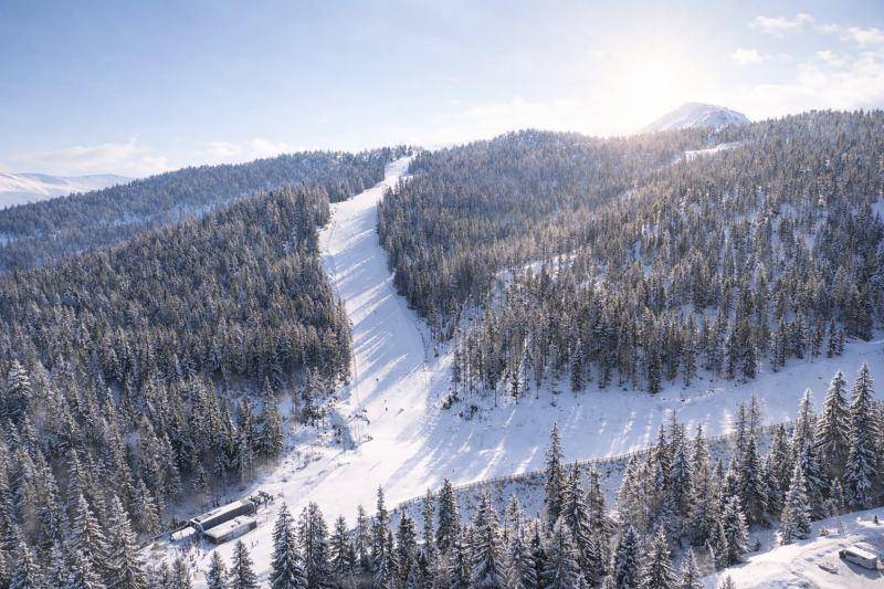Weite Skipiste, die sich durch einen dichten, schneebedeckten Wald schlängelt, unter einem hellen Winterhimmel.
