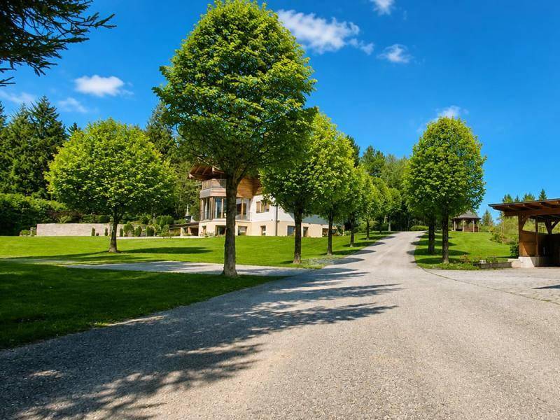 Lange Auffahrt gesäumt von Bäumen führt zu einem eleganten Haus inmitten grüner Natur.