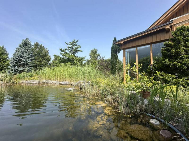 Teich vorm Haus