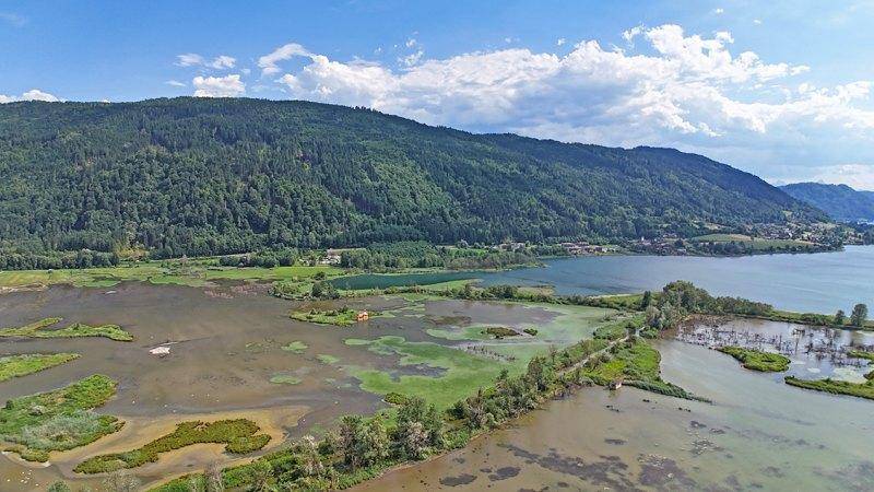 Bleistätter Moor