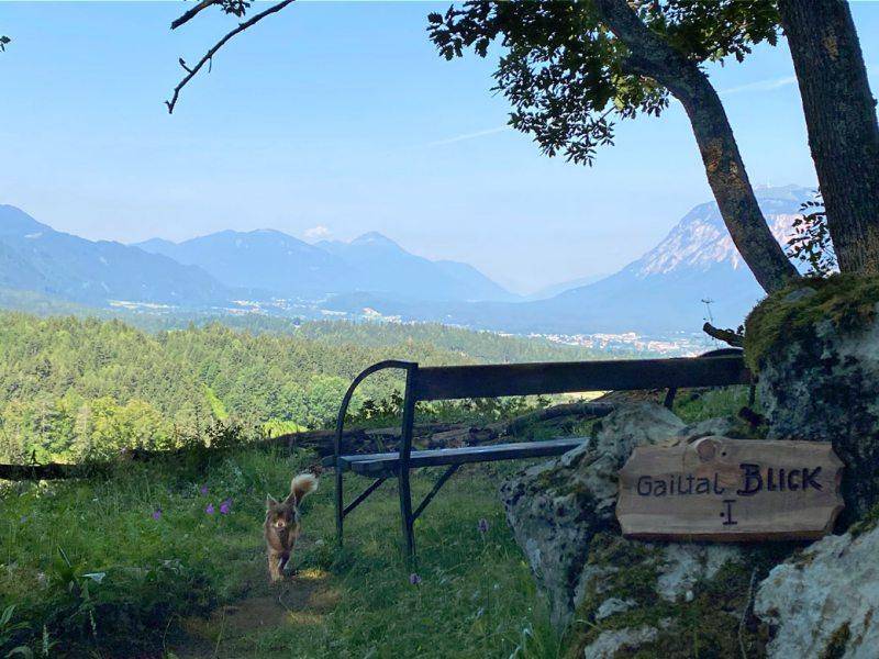 Wandern