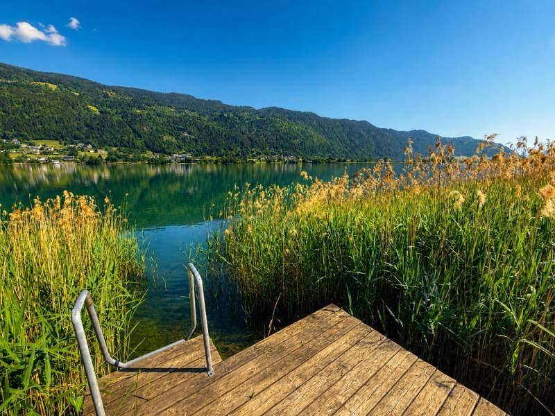 Holzsteg mit Badeleiter führt ins klare Seewasser, umgeben von Schilf und Bergen.