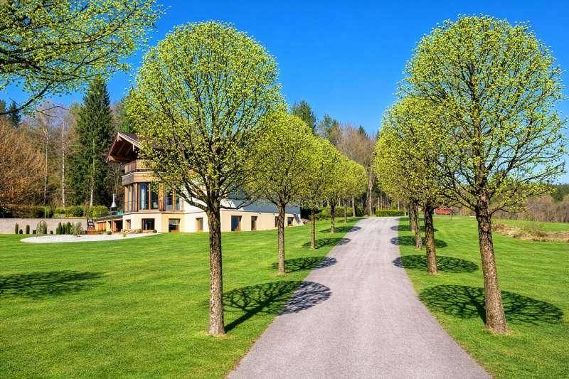 Zufahrt zum Anwesen, gesäumt von jungen Bäumen und weitläufigen Rasenflächen unter blauem Himmel.