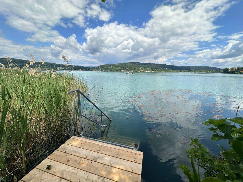 Holzsteg mit Badeleiter führt ins klare Seewasser, umgeben von Schilf und Natur.