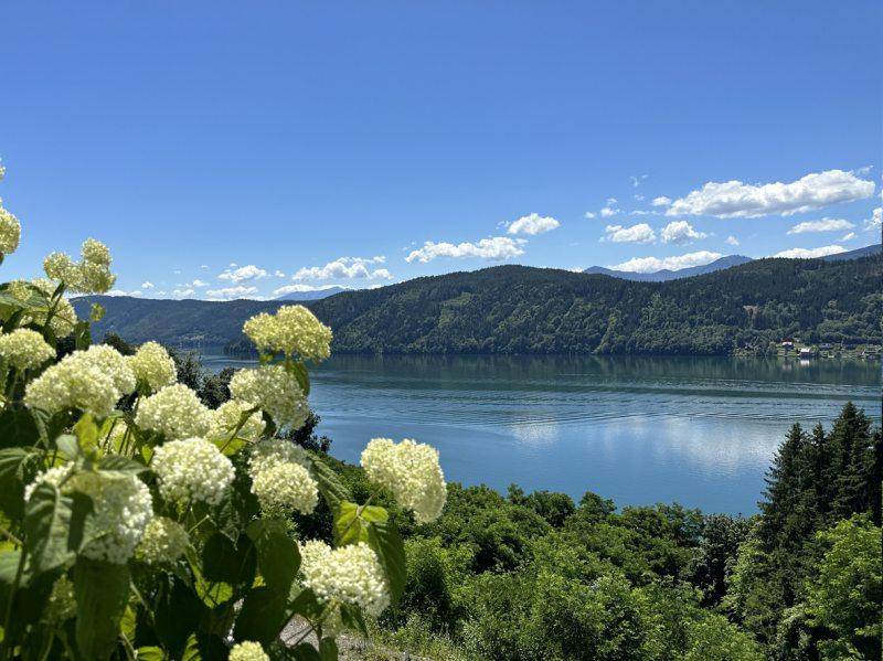 Seeblick Millstatt