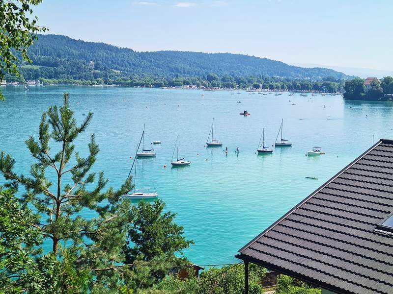 Panoramablick auf den See mit zahlreichen Segelbooten und bewaldeten Hügeln unter blauem Himmel.